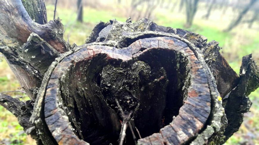 img_Enyhebb_volt_a_reggel