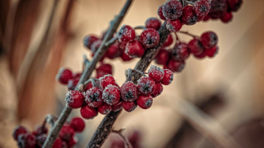 img_Hidegfront_terheli_a_szervezetunket