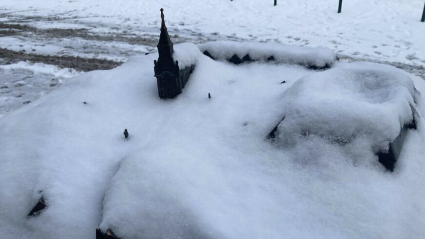 img_Holapatra_fel_-1