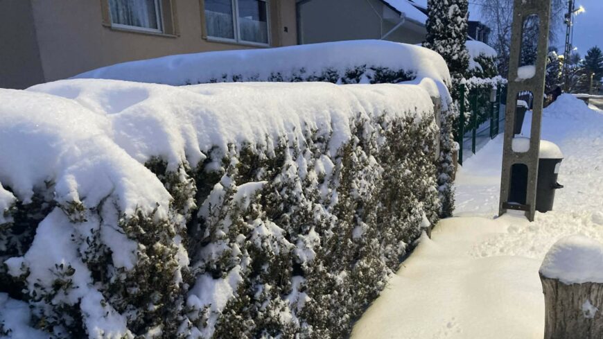 img_Kozossegi_oldalan_koszoni_a_varoslakok_segitseget_a_polgarmester