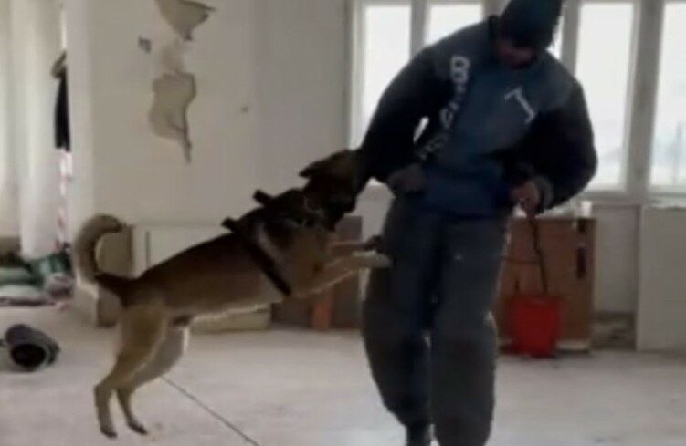 img_Kutyavezetok_es_szolgalati_kutyaik_osszevont_kepzese_Dunafoldvaron