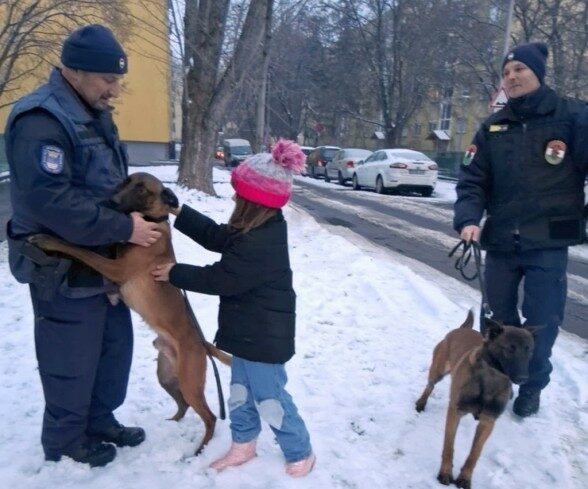 img_Sarkvideki_hideg__az_allatainkra_is_vigyazzunk_-2