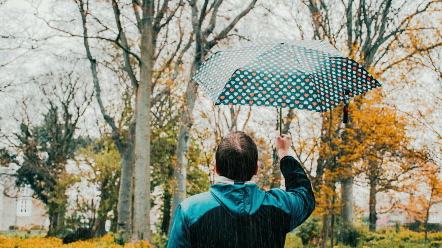 img_Fajhat_a_fejunk-1