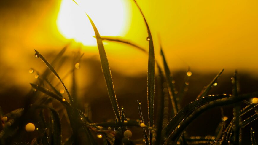 img_Napsuteses_a_reggel-1