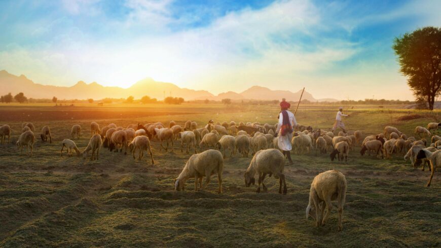 img_Pasztorok_eve_a_Neprajzi_Muzeumban-2