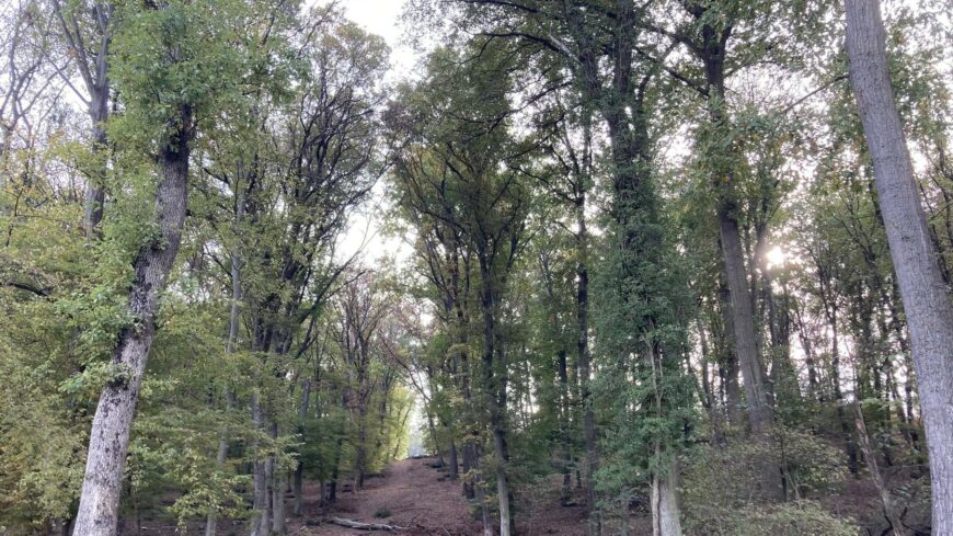 img_Szeles_a_kedd_reggel-1