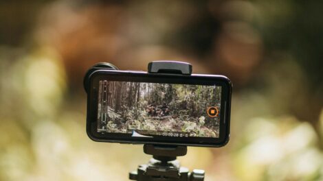 A világ magyarsága és a Föld jövője