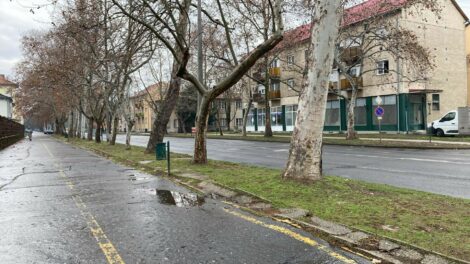 Esősen indul a hét