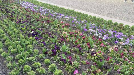 Felhős lehet a délután