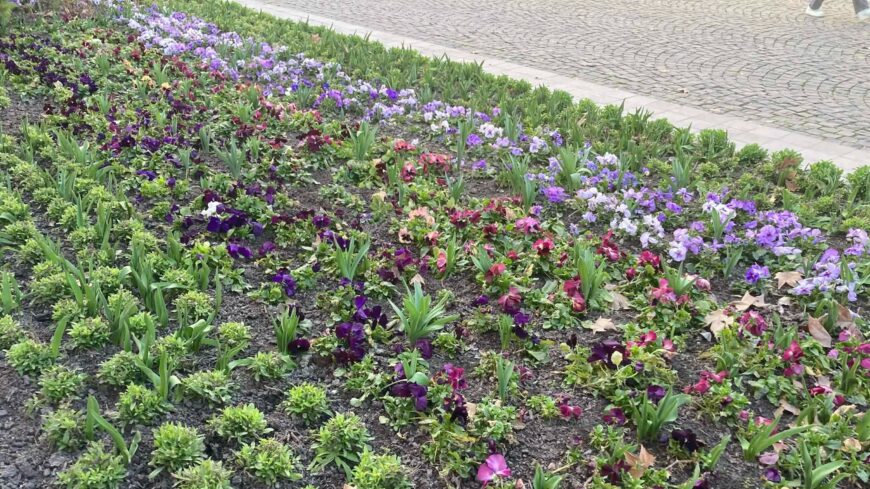 img_Felhos_lehet_a_delutan