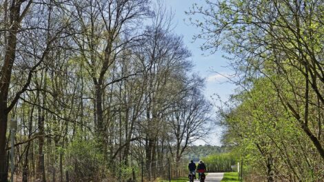 Hidegfront vet véget hétfőn a napok óta tartó kellemes, napos időnek