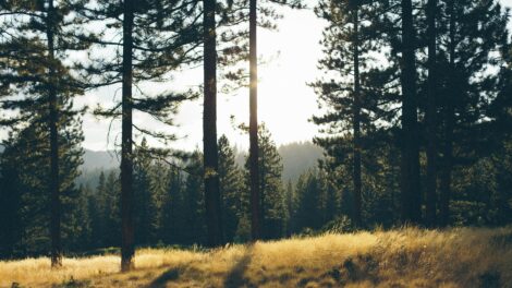 Ma többször megmutatja magát a nap