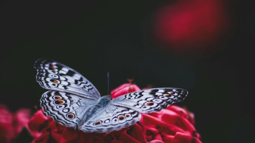 img_Napos_reggellel_indul_a_hetunk-1