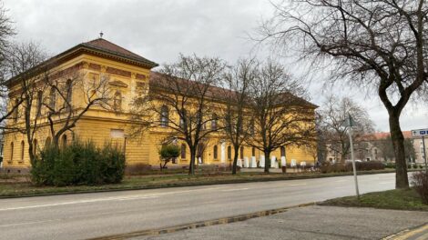 Programok a múzeumban