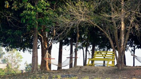 Te hogyan reagálsz, amikor minden egyszerre sok?