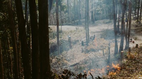 Tíz tűzeset és öt műszaki mentés adott munkát a tűzoltóknak