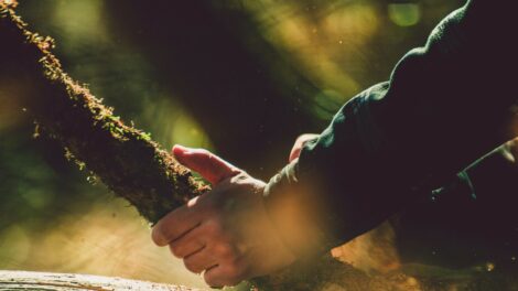 A Zöldfelületek karbantartásához kapcsolódó eszközbeszerzés