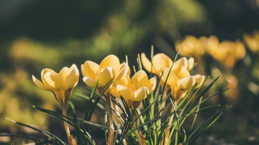 img_Enyhe_a_reggel-1