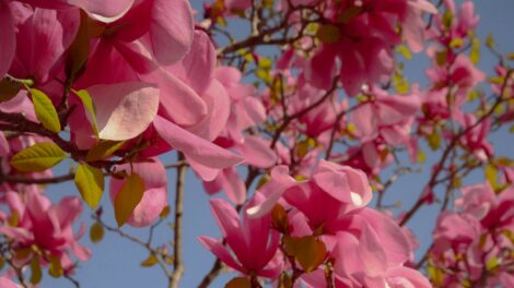 Ez volt a nyolcadik legmelegebb március