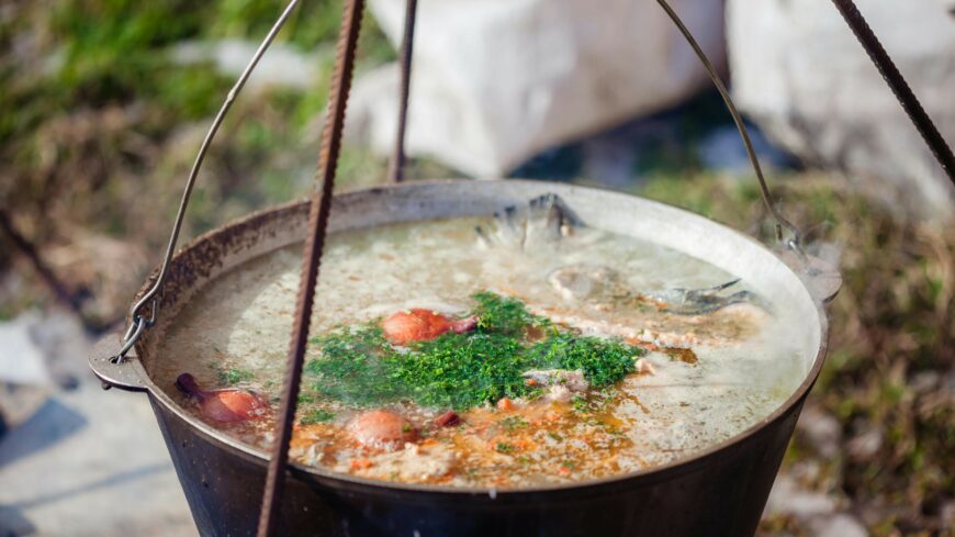 img_Felhivas_majusi_bogracsolora_-1