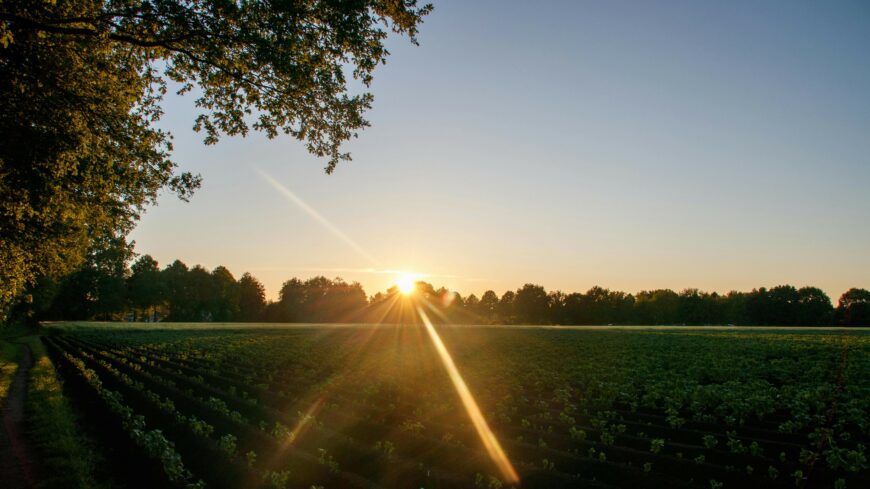 img_Napos_idovel_indul_a_vasarnap