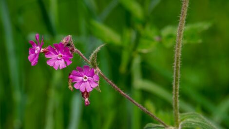 Szeles, de napos időnk lesz
