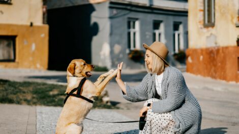 Új kiadvány mutatja be az állatvédelem eredményeit