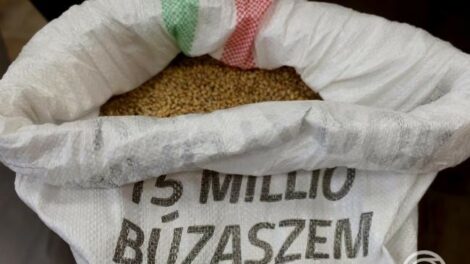 Összeöntötték a magyar gazdák búzáját Helvécián