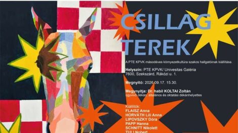 Hat fiatal alkotó mutatkozik be a Csillag terek című kiállításon