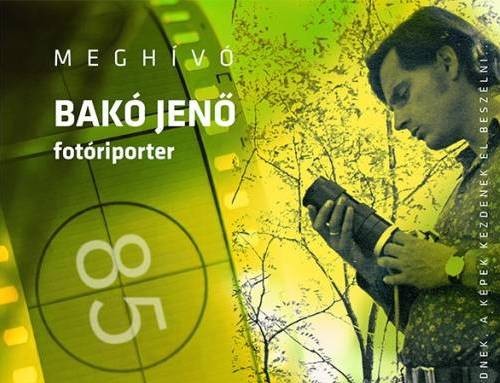 img_Szavak_nelkul_-_Bako_Jeno_kiallitasa_a__Babitsban_